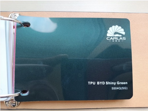 Carlas BYD Shiny Green
